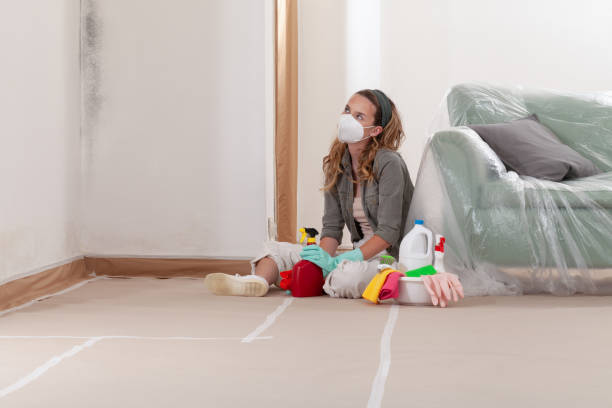Reliable Mold Cleanup contractor in Kenilworth, NJ by Cheap Mold Removal